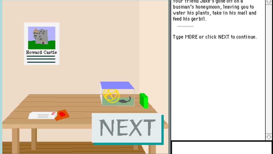 Image in-game