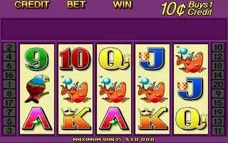 Cash Cat (0100676V, NSW/ACT)