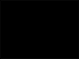 Sega Chihiro BIOS