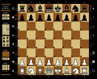 Conchess Plymate Amsterdam