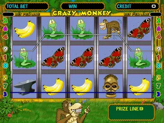 Crazy Money