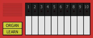 Lite 'n Learn: Electronic Organ