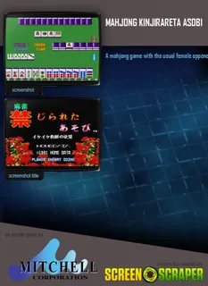 Mahjong Kinjirareta Asobi dos