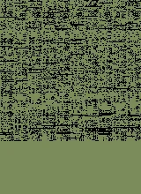 Palm V