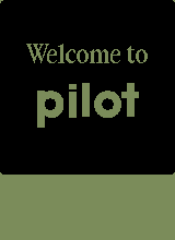 Palm Pilot 5000