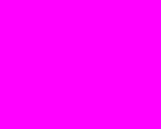 Quingo Export (5.00)