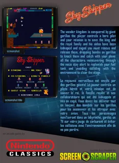 Sky Skipper dos
