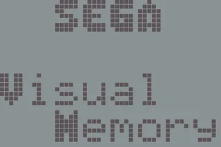 Visual Memory Unit