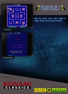 Turtles dos
