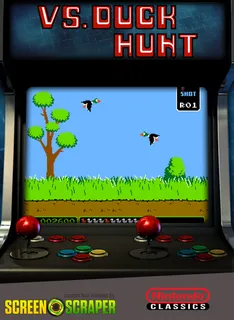 Vs. Duck Hunt