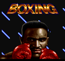 VRT VT SDK 'Boxing' (Demo for VT03 Pic32)