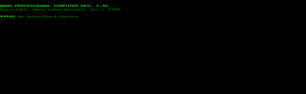 Wang Professional Computer