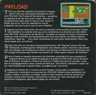 Pay Load dos