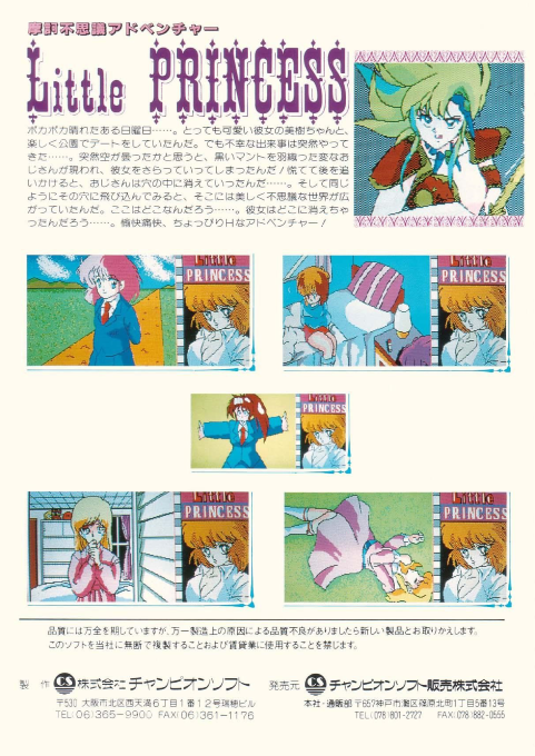 Wonderful Adventures Of A Little Princess - Dos