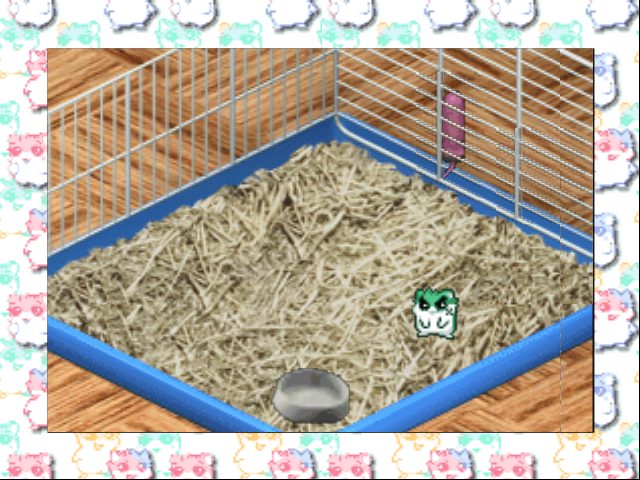Image in-game