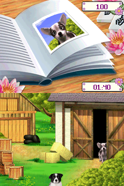 Image in-game