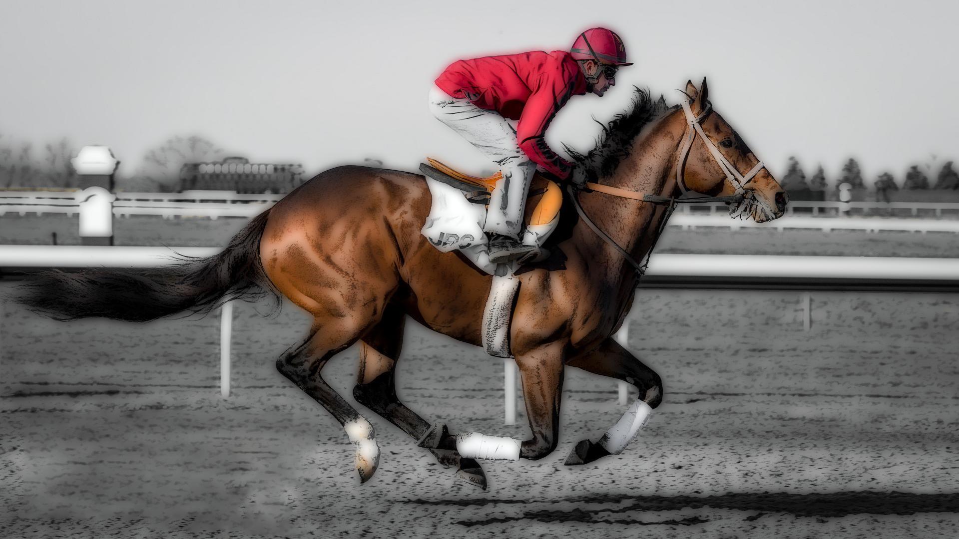 Fan Art