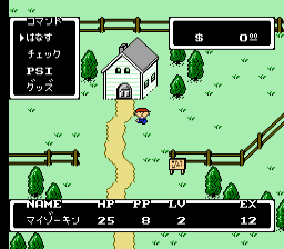 Image in-game