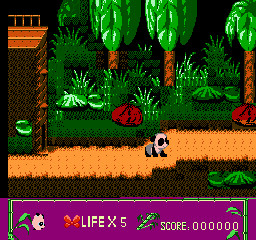 Panda Baby