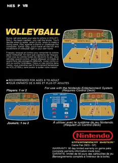 Volleyball dos