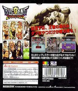 Wrestling Madness - Dos