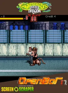 Battletoads Double Dragon - The Revenge