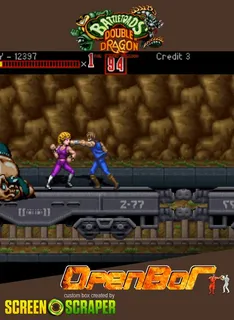 Battletoads Double Dragon - The T.bird Mission