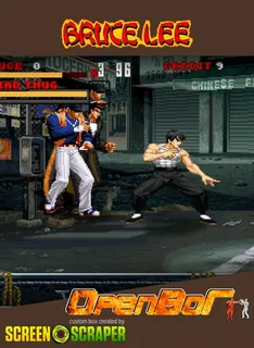 Bruce Lee - Revenge Of The Dragon