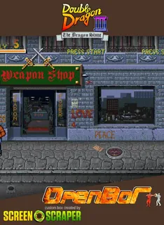 Double Dragon 3 - The Dragon Stone