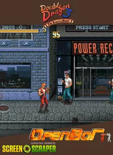 Double Dragon 3 - The Rosetta Stone