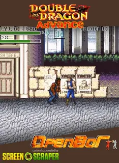 Double Dragon Advance