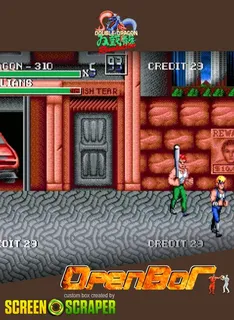 Double Dragon Revolution
