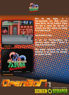 Double Dragon Revolution - Dos