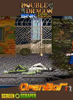 Double Dragon Snk