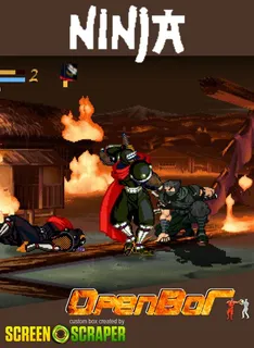 Ninja