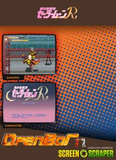 Sailor Moon Plus - Dos