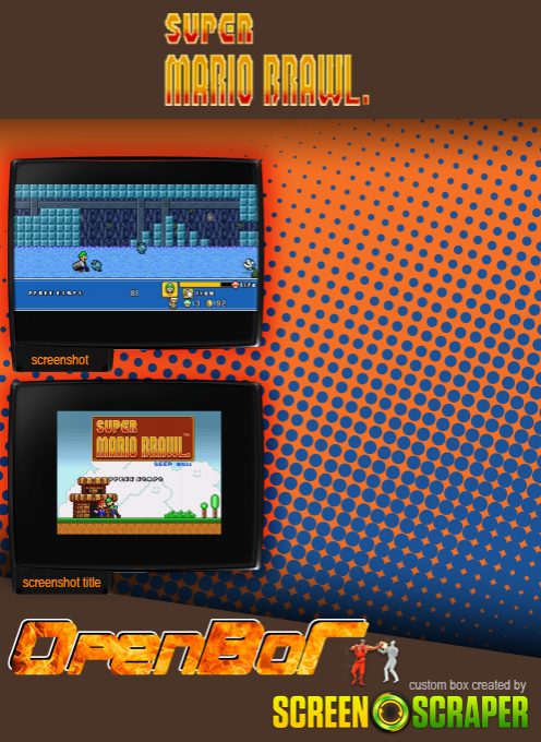 Super Mario Brawl dos