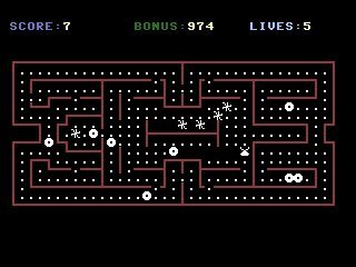 Boogie-Woogie Spiders