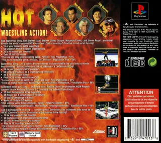 Virtual Pro Wrestling dos
