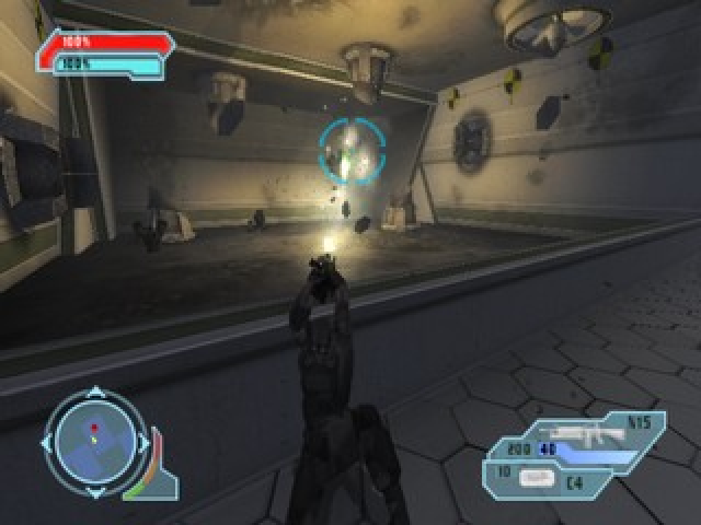 Image in-game