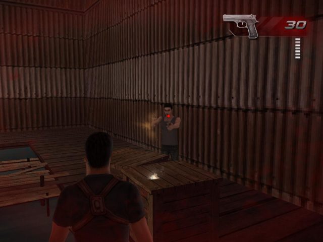 Image in-game