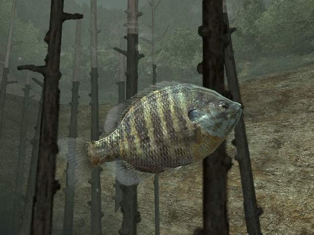 Captura de tela