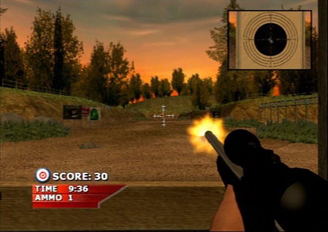 Image in-game