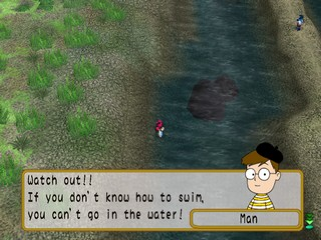 Image in-game