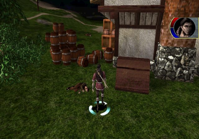 Image in-game