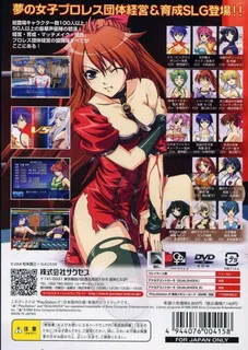 Wrestle Angels Survivor dos
