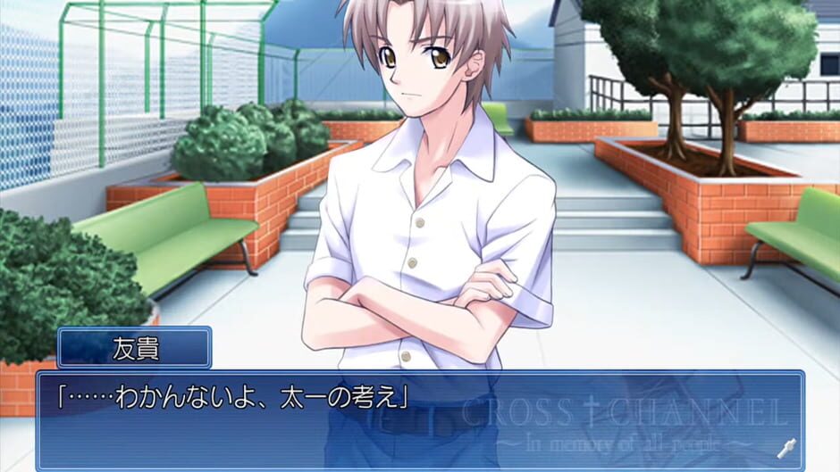 Image in-game