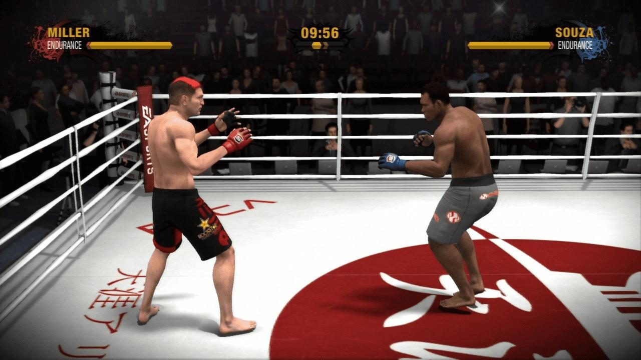 Image in-game