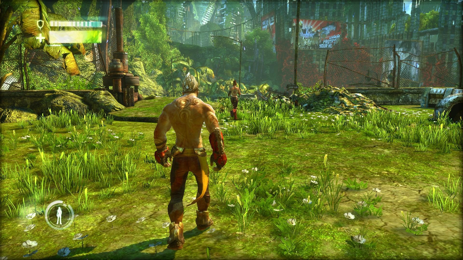Image in-game