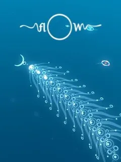 Flow